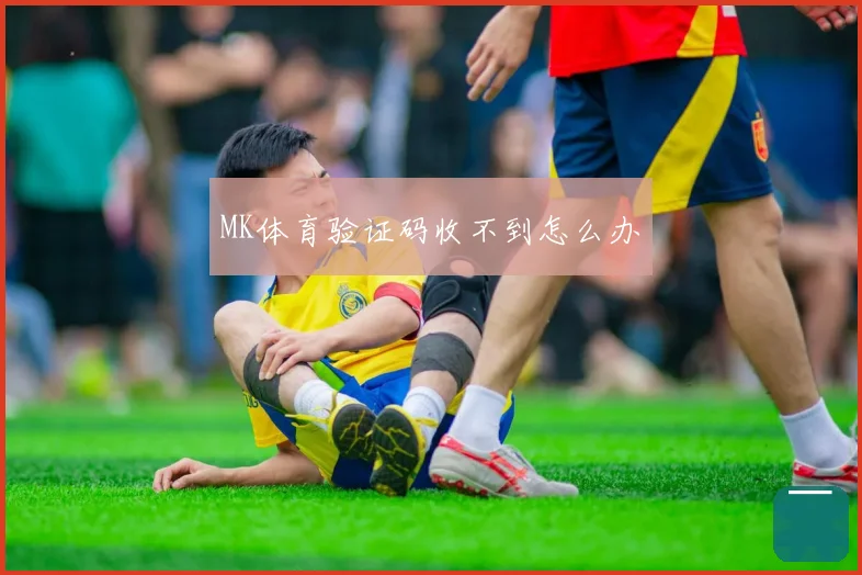 MK体育验证码收不到怎么办